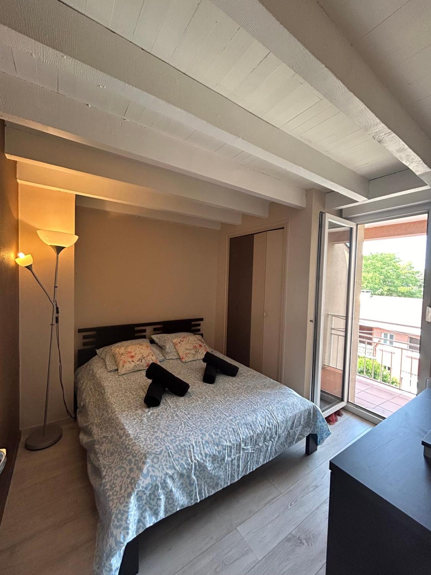 Apartamento Le Venasque Avec Terrasse - Climatisation Toulouse Exterior foto